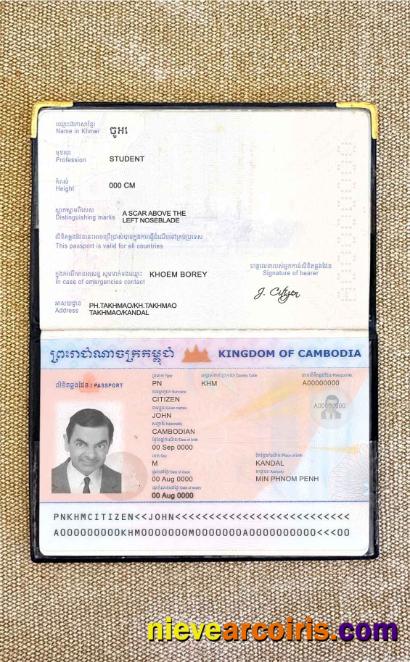 Cambodia passport photolook